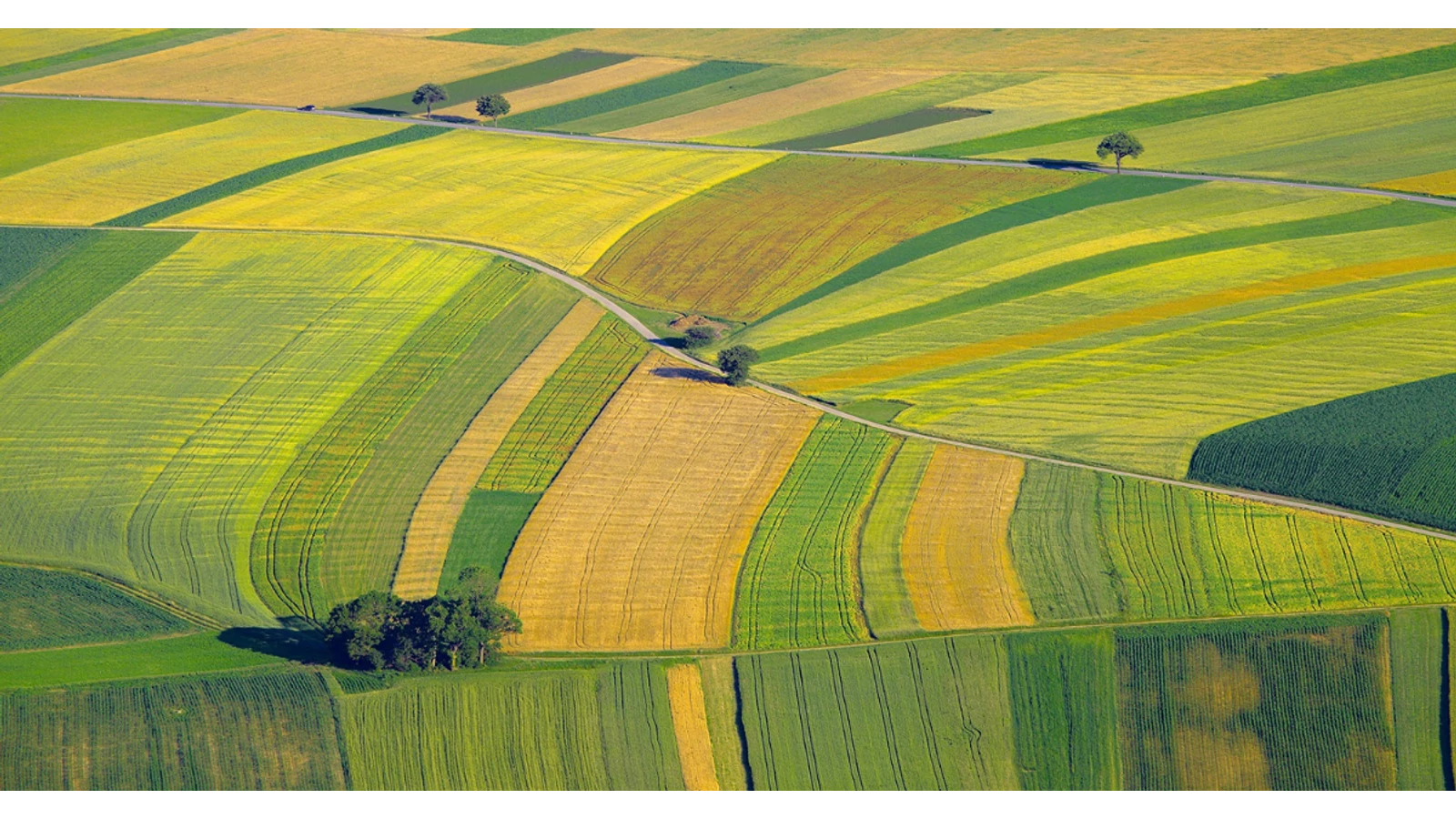 Top 5 legfontosabb magyar könyv a klímavédelemről