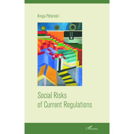 Social Risks of Current Regulations