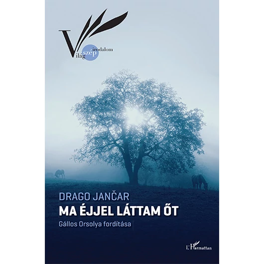 Ma éjjel láttam őt