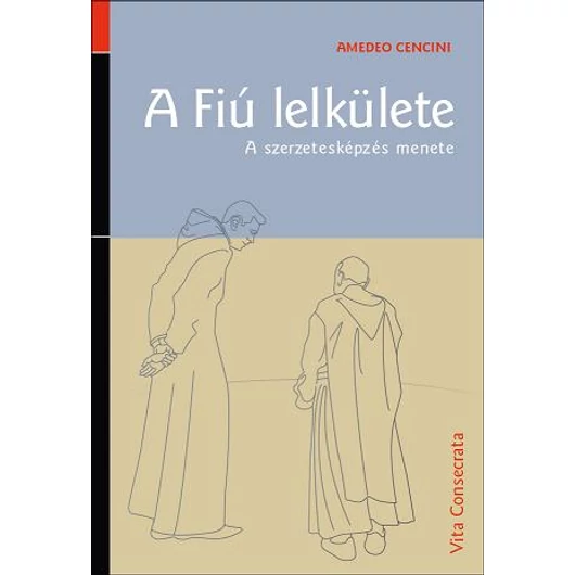 A Fiú lelkülete