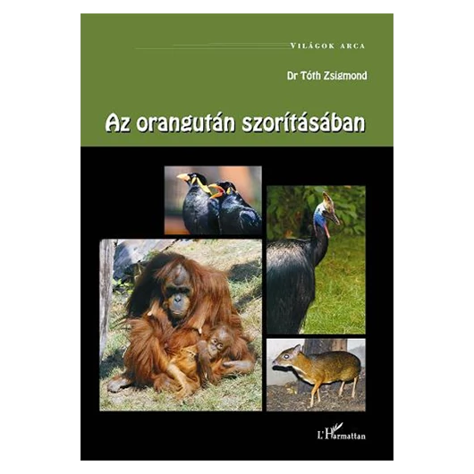 Az orangután szorításában