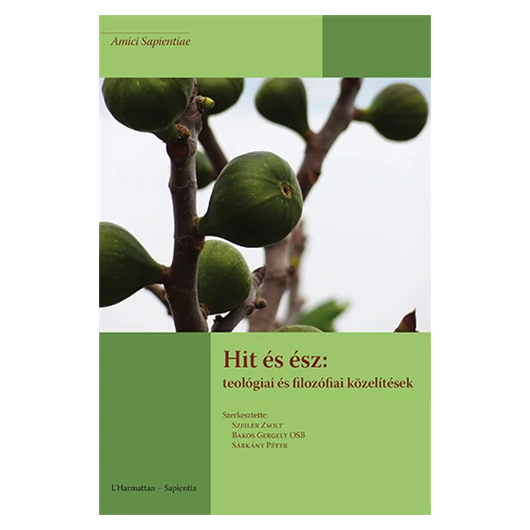 Hit és ész: teológiai és filozófiai közelítések
